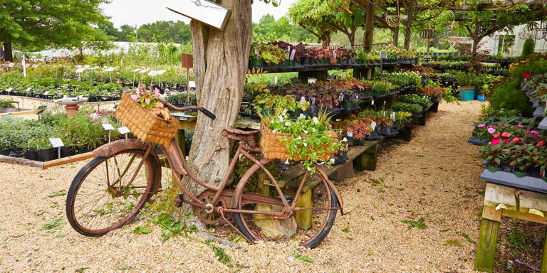 I visited a beloved Alabama nursery and found 5 charming garden ideas ...