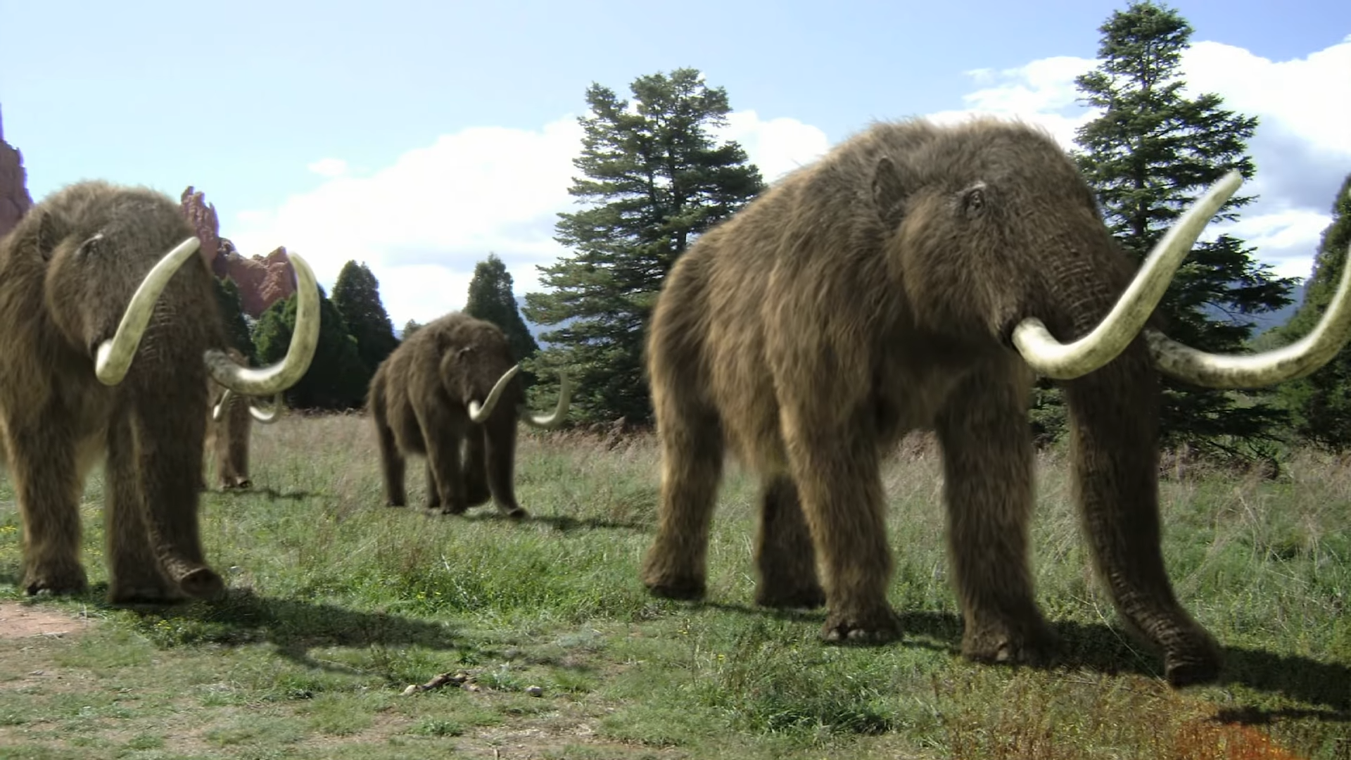 Scientists brought an extinct animal back once - it survived only minutes