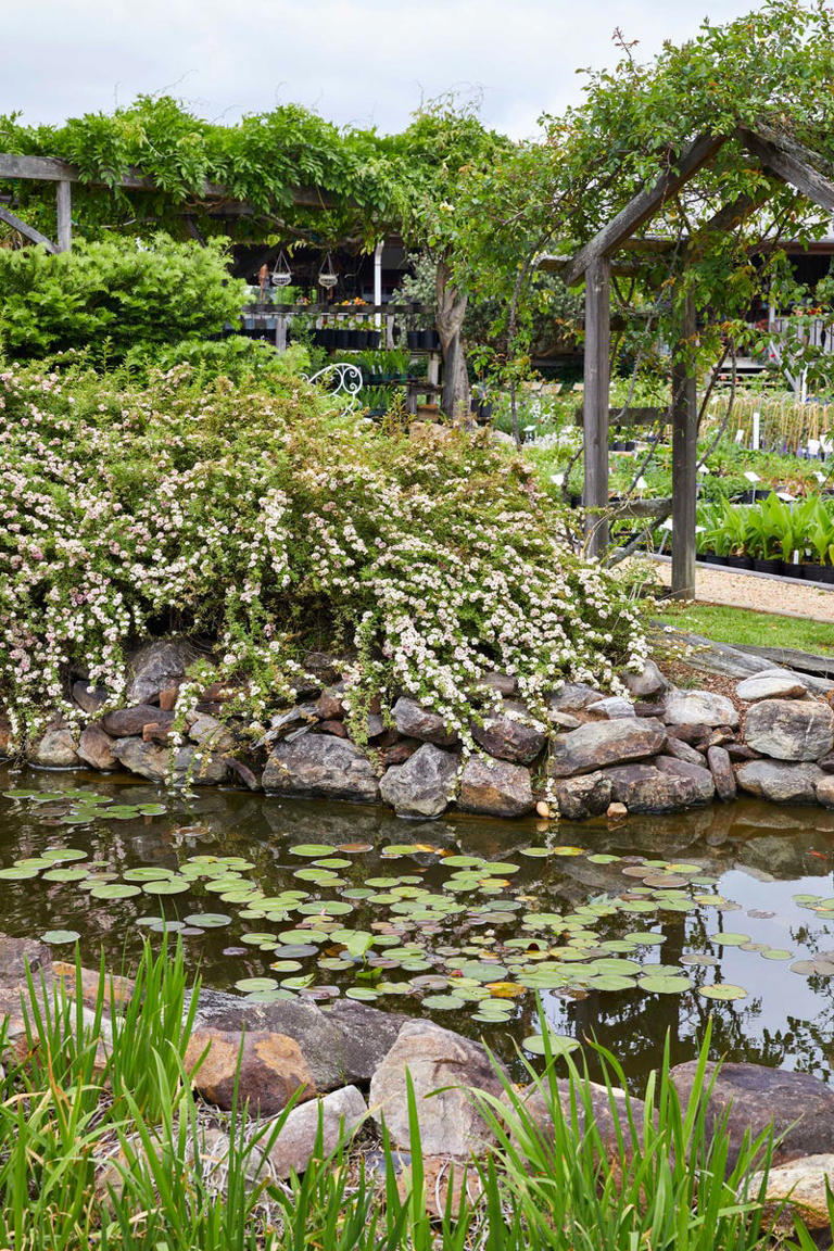 I visited a beloved Alabama nursery and found 5 charming garden ideas ...