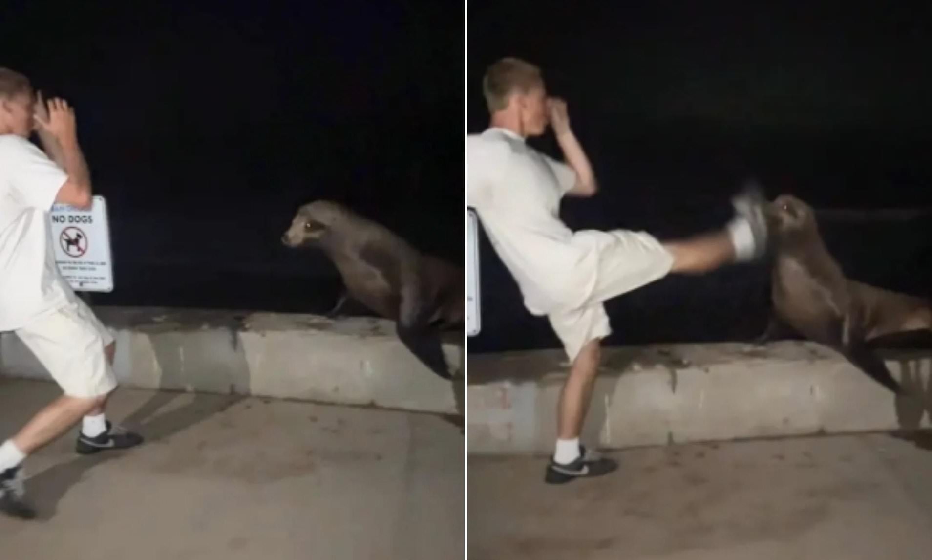 Rich kid, 18, set to swap ritzy enclave for prison after he admitted kicking terrified sea lion