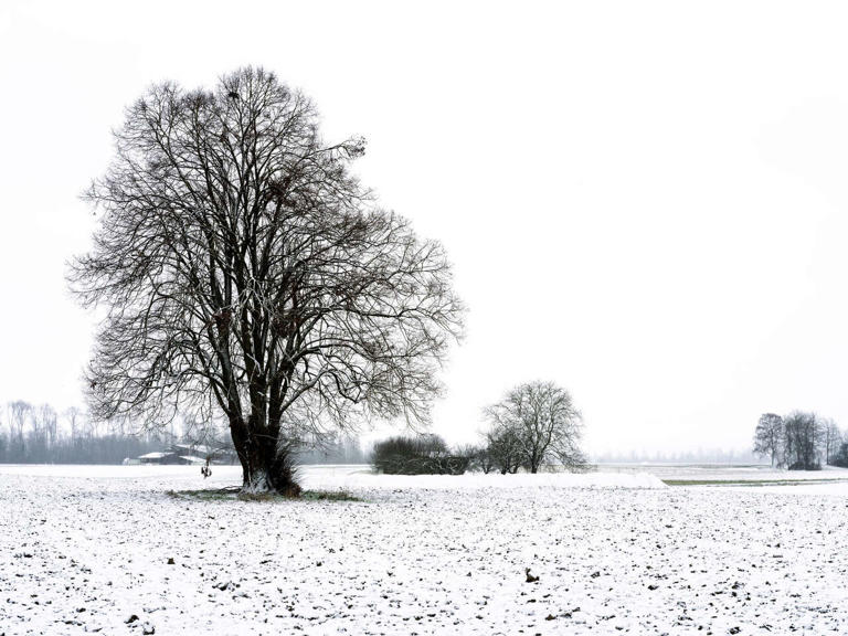 Farmers' Almanac predicts cold, snowy 2026-27 Illinois winter