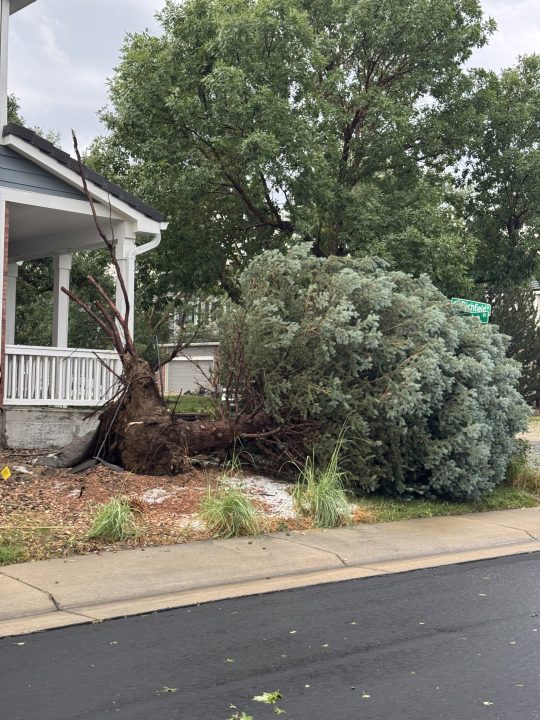 Storms leave hail drifts up to 3 feet, strip leaves from trees in Denver area