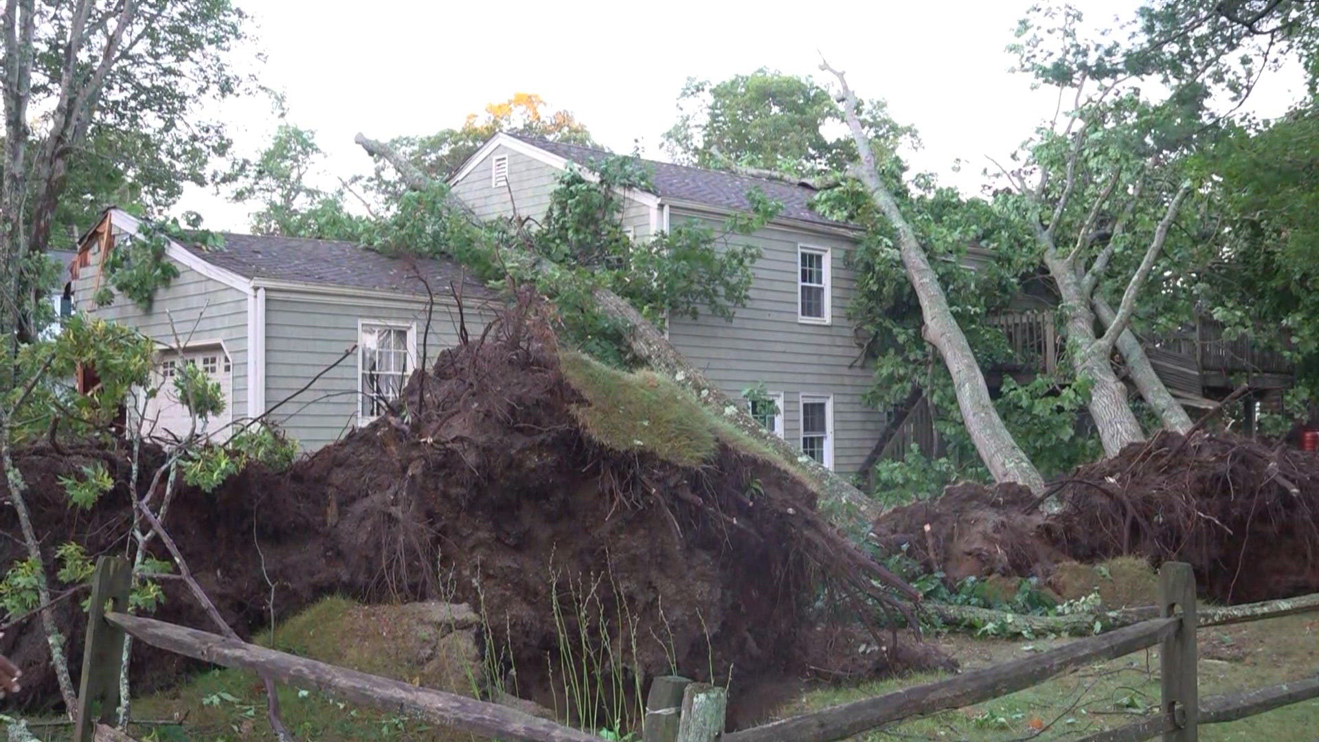 Thursday's storm knocks multiple trees onto Cape Elizabeth homes