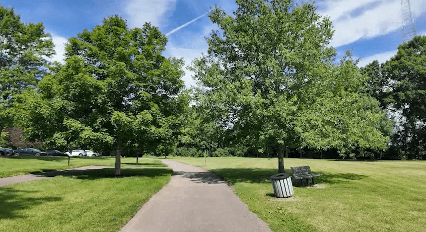 Lebanon hires arborist, gives away trees to help grow canopy