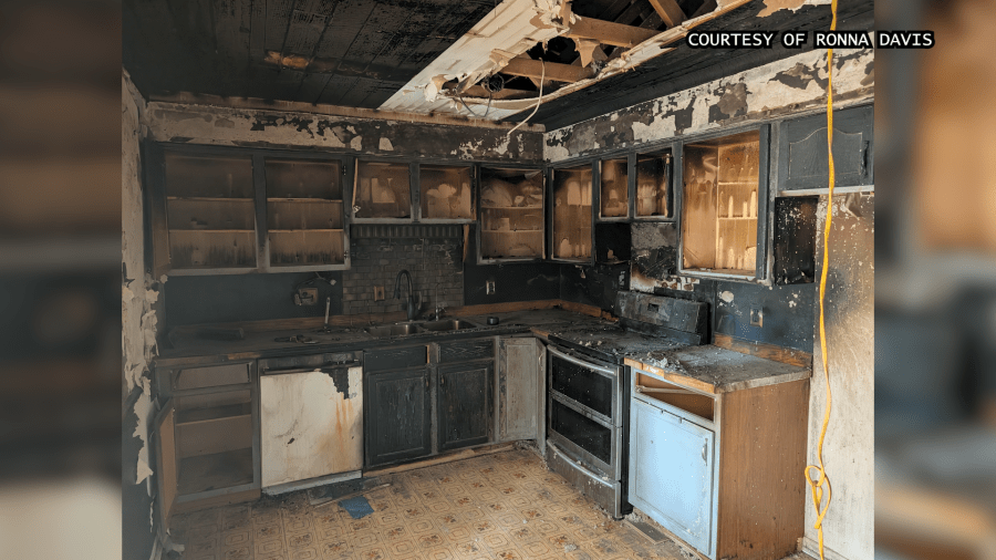 After house fire killed two of her dogs, friend sets up GoFundMe for USPS worker's vet bills