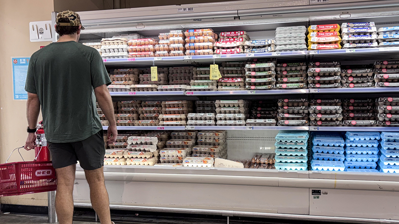 FDA upgrades egg recall to highest risk level as salmonella sickens ...