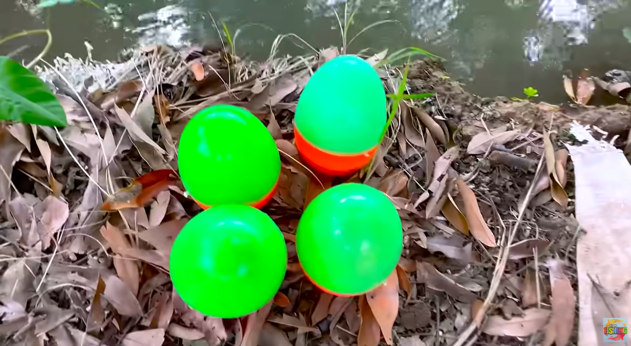 Catch colorful freshwater aquarium fish in giant colorful eggs, turtles ...