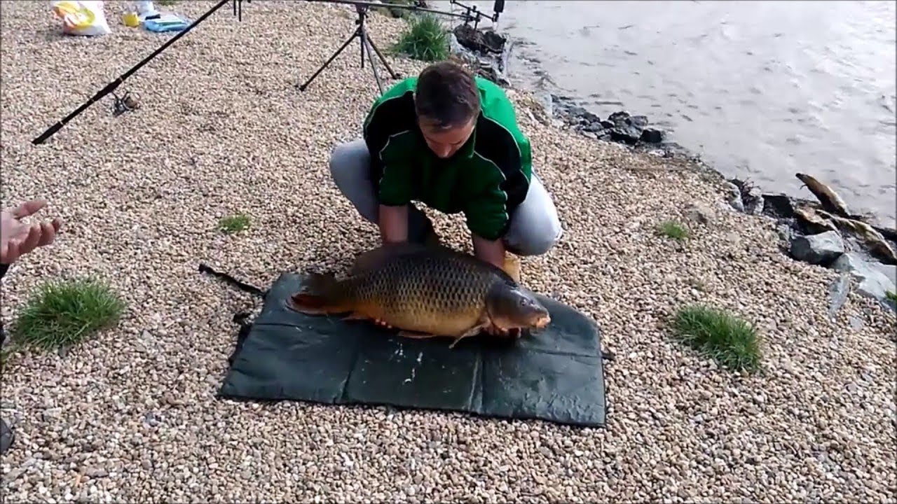 Fish pulls off a dramatic escape from fisherman