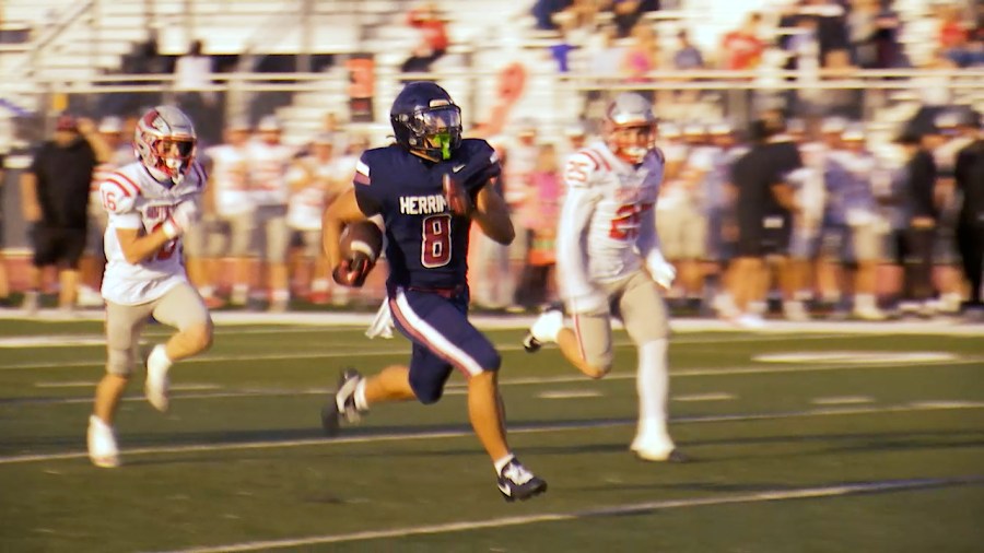 Beehive blitz – Week 1 scoreboard