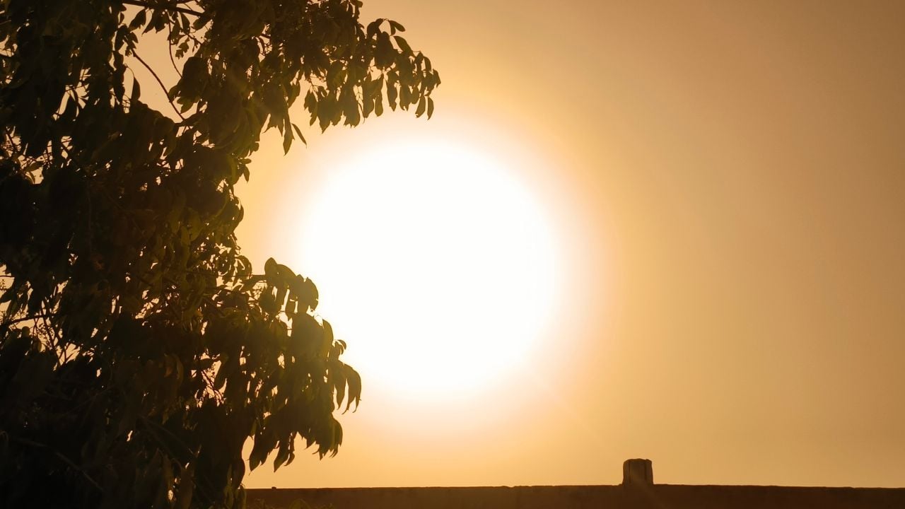 m-t-o-le-thermom-tre-pourrait-s-envoler-vers-les-40-c-d-s-le-17-ao-t