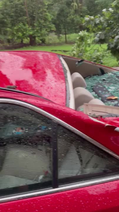 Large Tree Branch Fall on Car and Destroys It