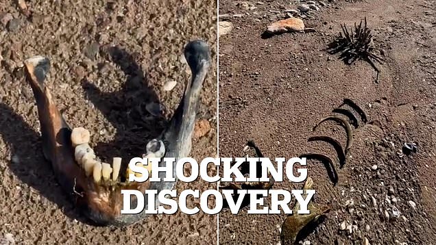 Las Vegas resident makes chilling discovery at Lake Mead
