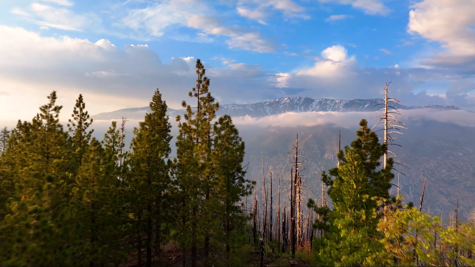 Exploring the natural beauty of Sequoia National Park through drone footage