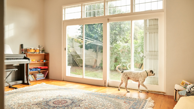How to cover sliding glass doors without curtains or bulky blinds