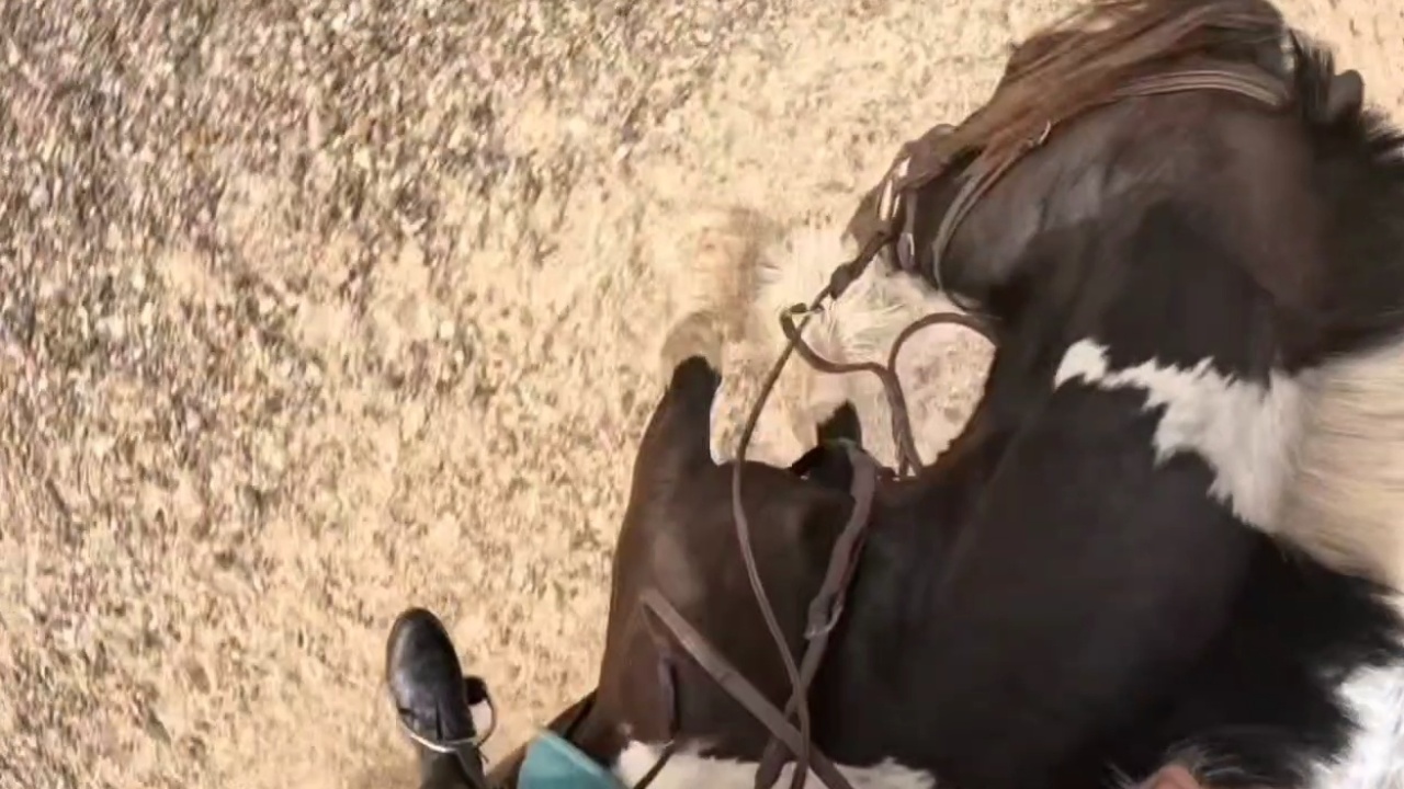 Equestrian rider tumbles off saddle onto sandy shoreline