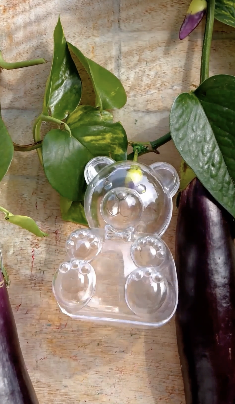 innovative-gardening-ideas-and-creative-plant-arrangements