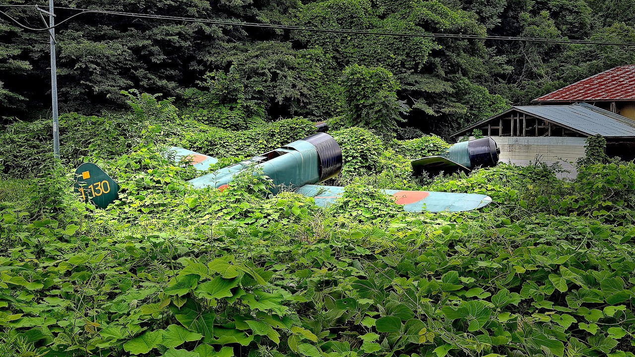 I found abandoned Zero fighters in Japan... but something wasn't right