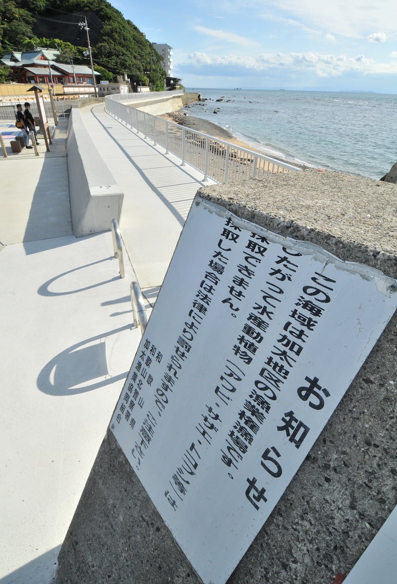 玉川徹氏「泥棒を見かけたんで、私もやりました、じゃ通用しない」夏の海岸に現れる〝密漁者〟に警告