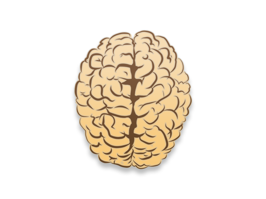 How specialists treat concussions to avoid long-term damage