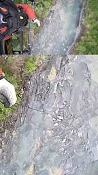 Tourist rescued after falling 120 feet in Montana national park