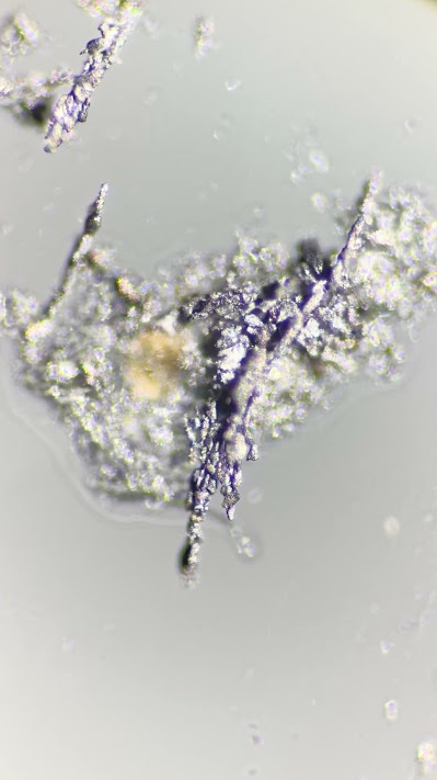 Does your cereal contain microscopic bits of metal?