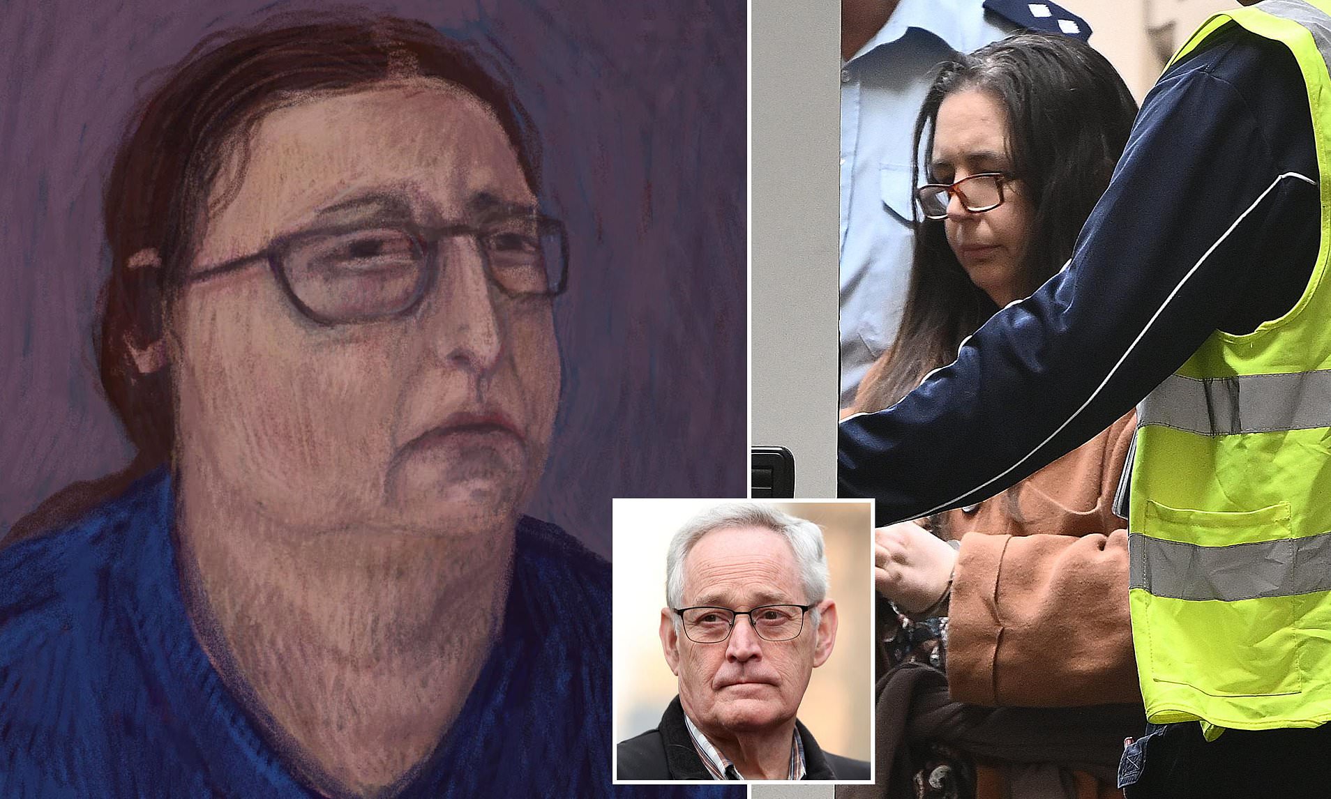 How Erin Patterson's appeal could backfire spectacularly: Mushroom chef's final roll of the dice
