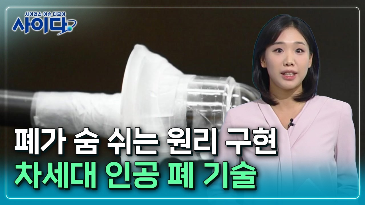[사이다] ① 실제 폐처럼 숨 쉬는 인공 폐 개발 / YTN 사이언스
