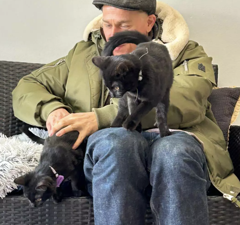 Charlie Hunnam's heartwarming cat rescue stories will melt you
