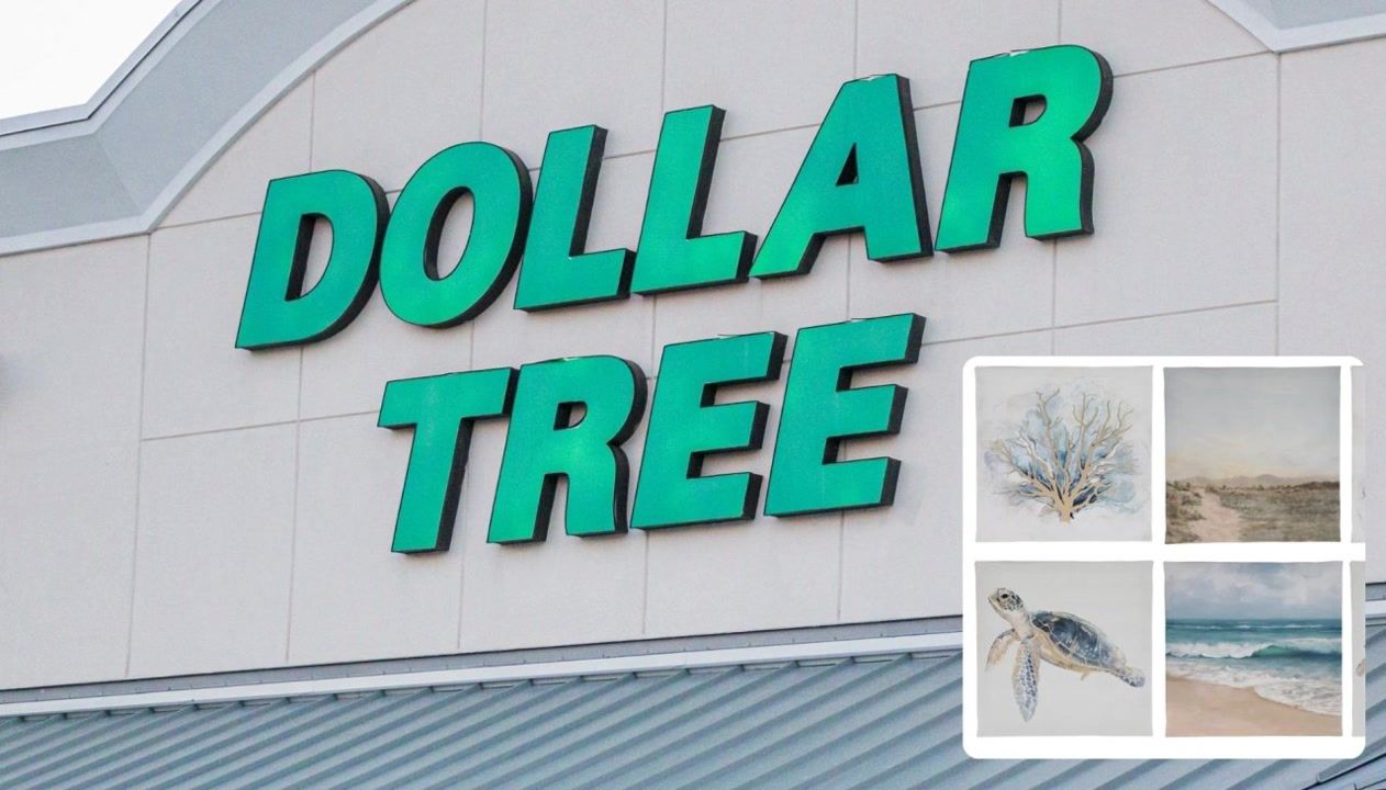 Want the ‘Outer Banks’ look? These Dollar Tree finds nail it for under ...
