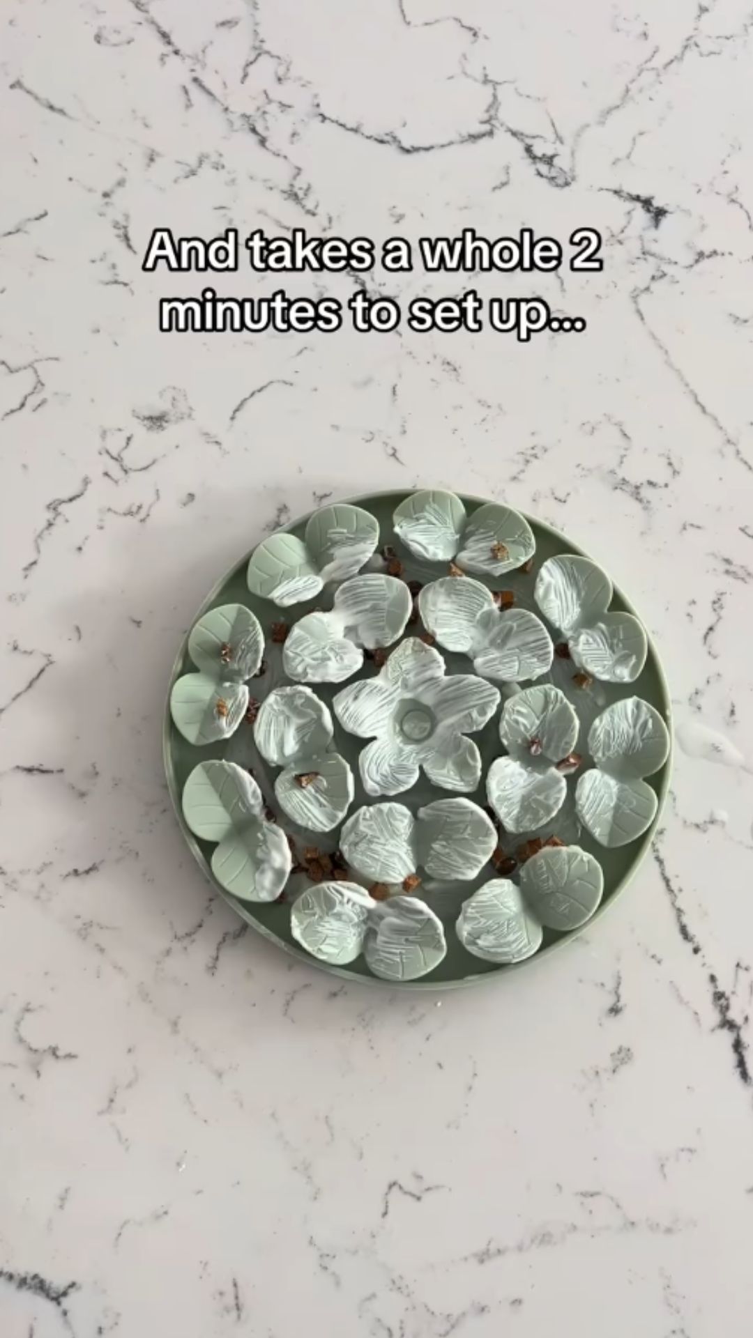 Quick mental stimulation activities for dogs at home