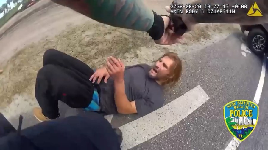 Watch: Florida deputies, sheriff arrest carjacking suspect after high ...