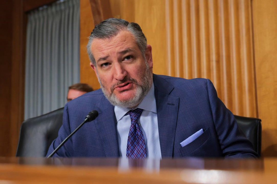 Fox News viewers blast Ted Cruz as 'embarrassing' over 8-word Nike diss