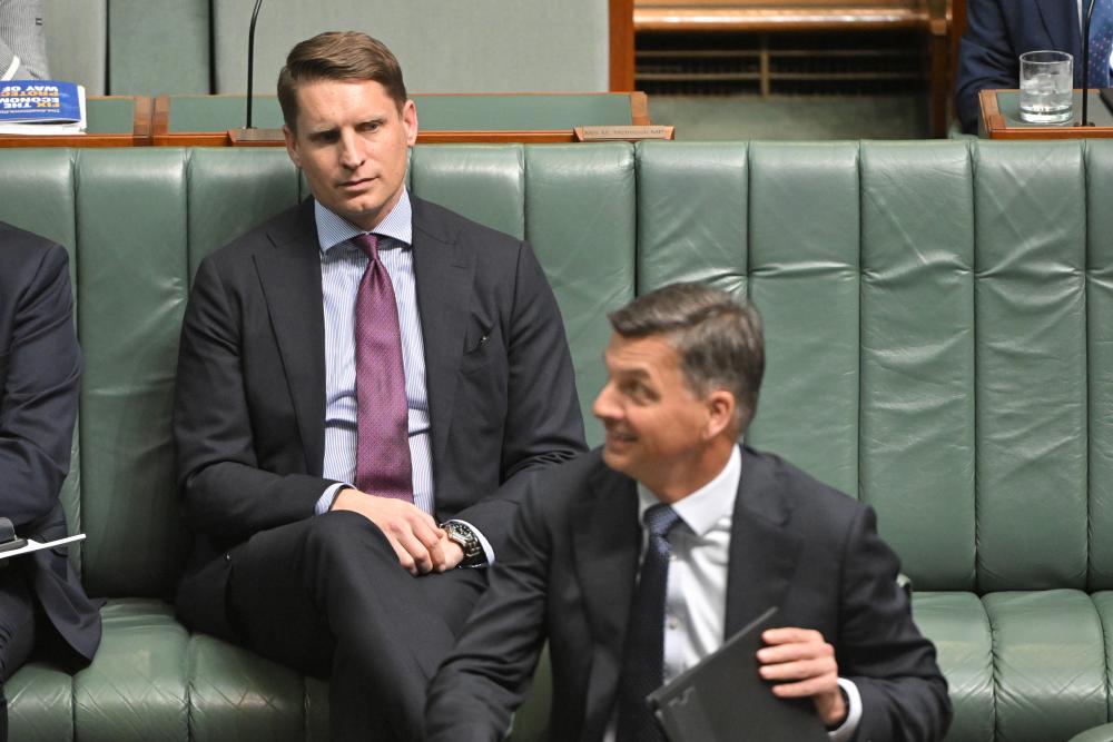 Andrew Hastie is effective in attacking One Nation, unlike his Liberal colleagues. So why won't they use him?