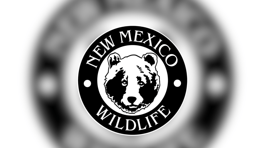 Bear bites man camping near Red River