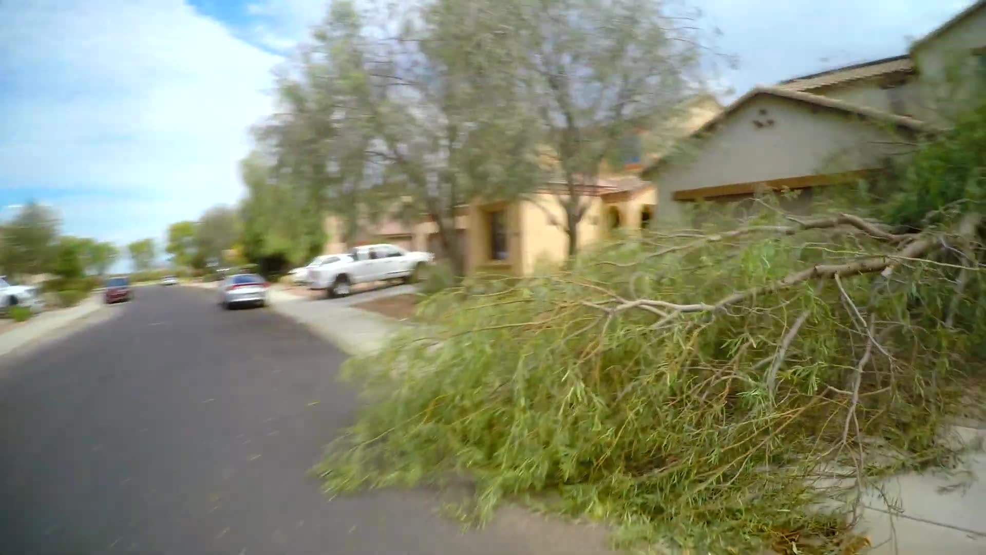 Woke up to monsoon destruction all over my street