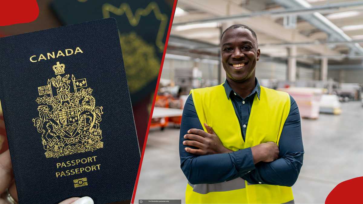Canada announces fresh visa, permits processing times for Kenyans ...