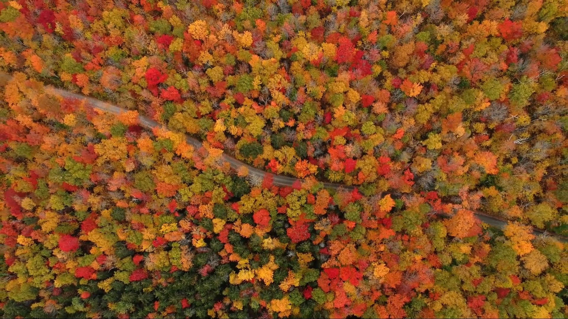 Stunning drone footage captures the Appalachian Mountains in autumn