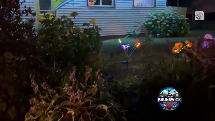 A magical nighttime garden display