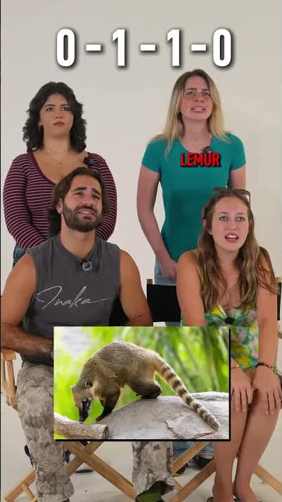 Can you name these animals? A fun quiz!