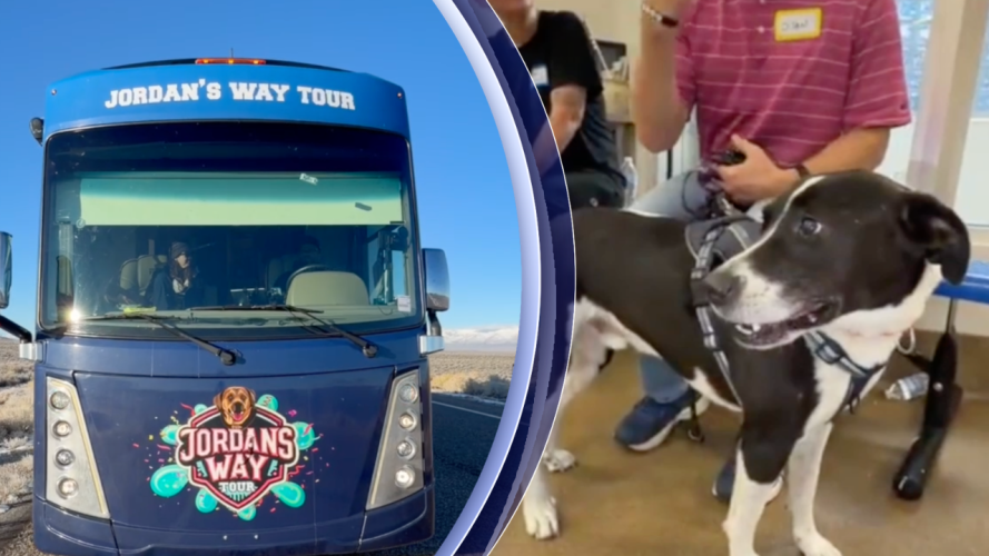 Animal rescue nonprofit buys RV to help shelters, but unknown $148K ...