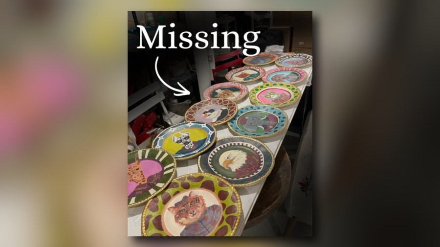 Several hand-painted animal plates stolen from Richmond dessert shop