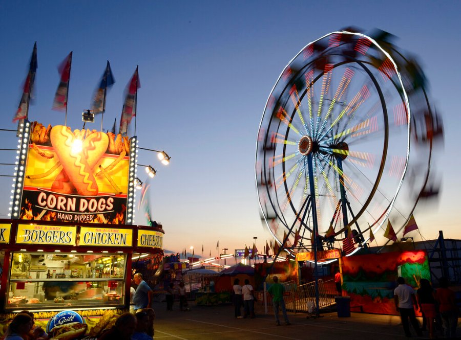 Horse dies by electrocution hours before Kentucky State Fair to begin