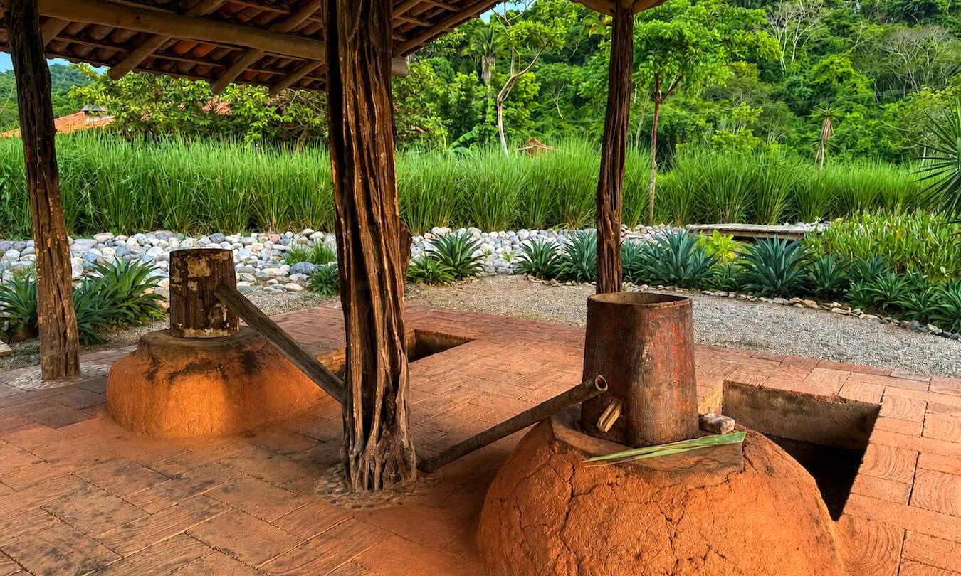 Our new favorite raicilla is made on a small farm in Nayarit