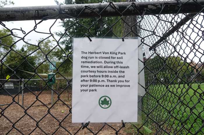 Elevated levels of mercury, arsenic found in Brooklyn dog run