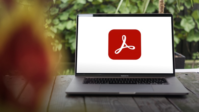 4 of the best Adobe Acrobat alternatives available today (according to users)