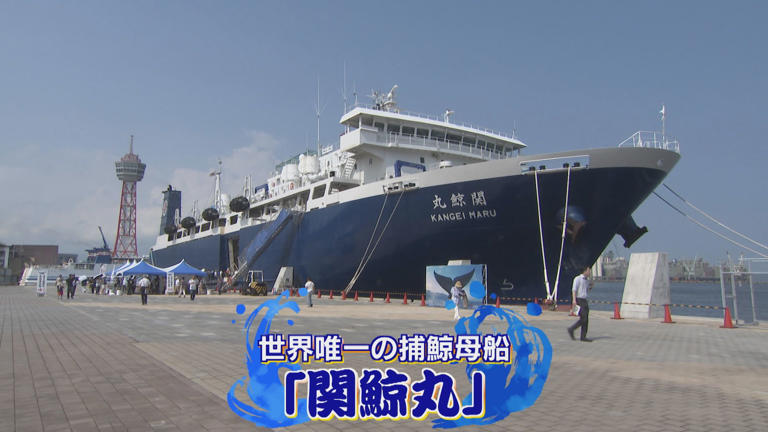 世界唯一の捕鯨母船「関鯨丸」初入港 内部を一般公開 70トン級のクジラをさばくスパースに驚き 【福岡発】
