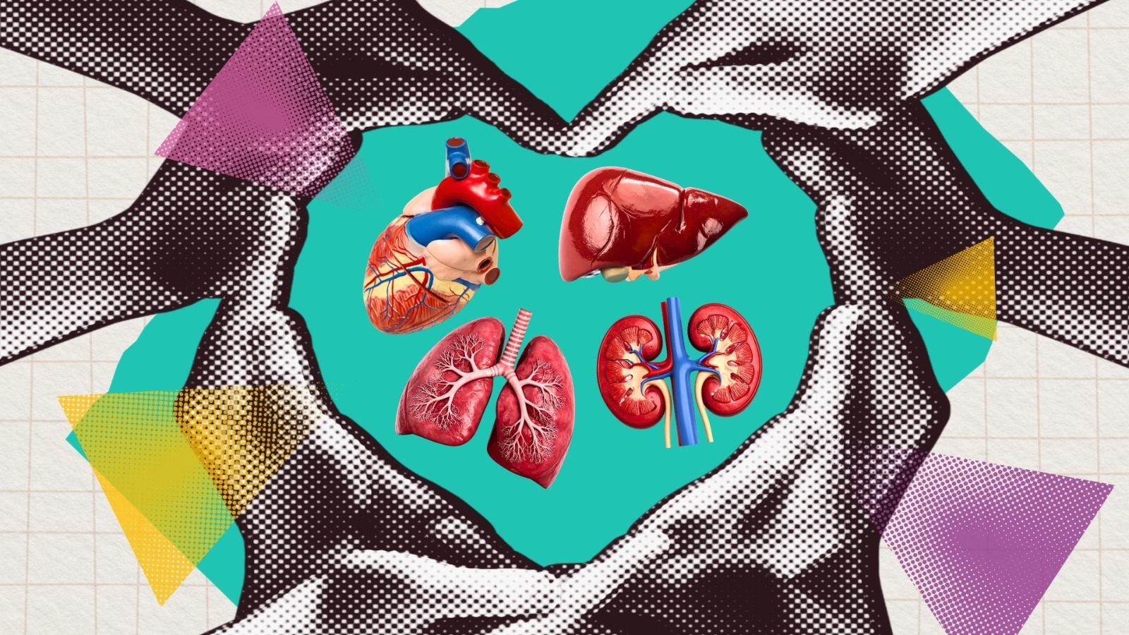 Organ donation: When the gift of life meets fear