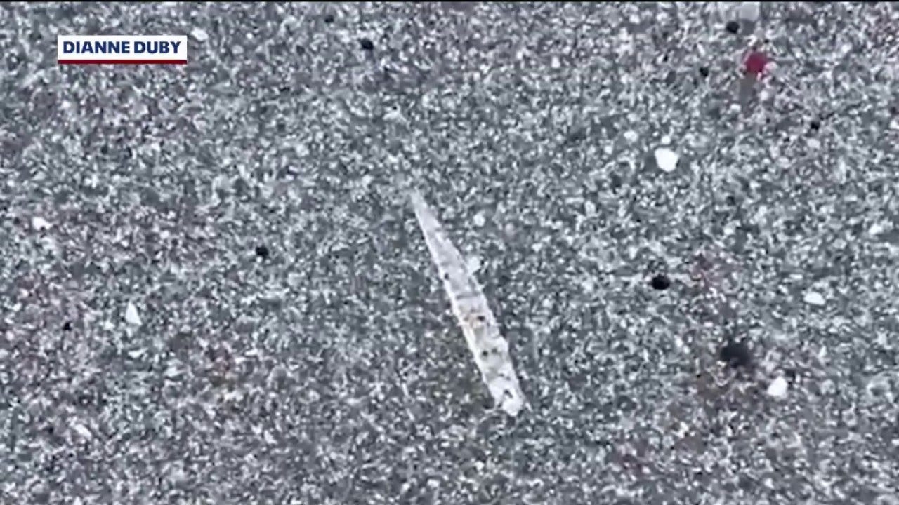 Mystery on the Space Coast: What are these clear 'jumping sticks' on the beach?