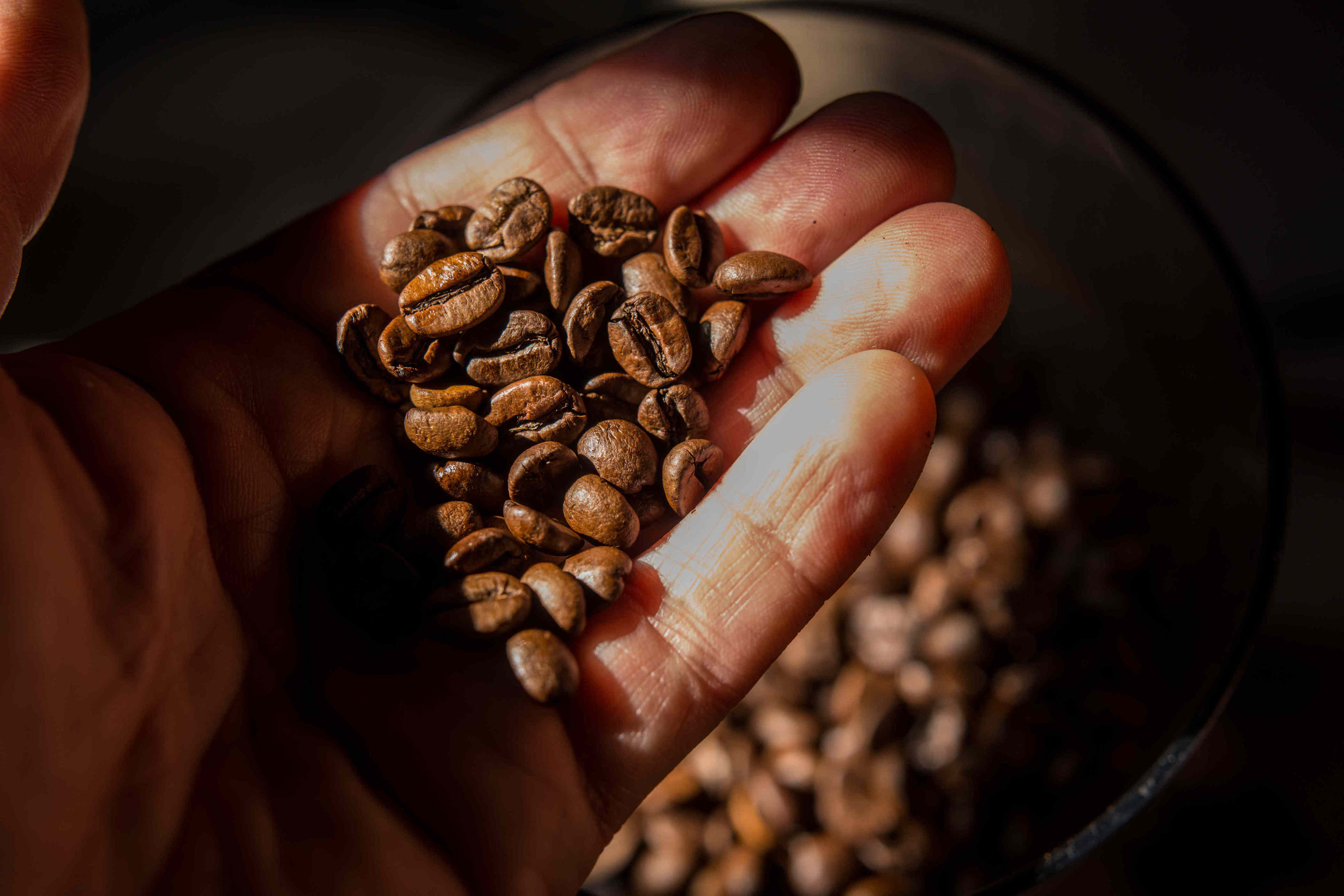 Every coffee expert we spoke to said this common coffee storage method is a huge mistake