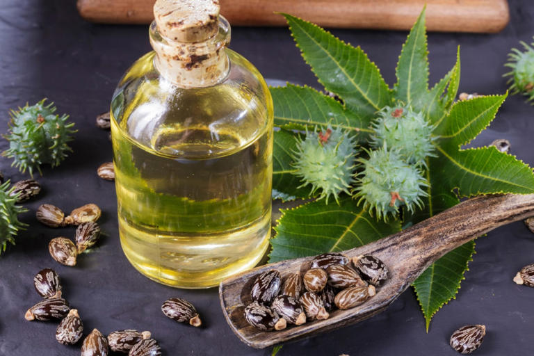 Why is castor oil important in Ayurveda? Know its key benefits